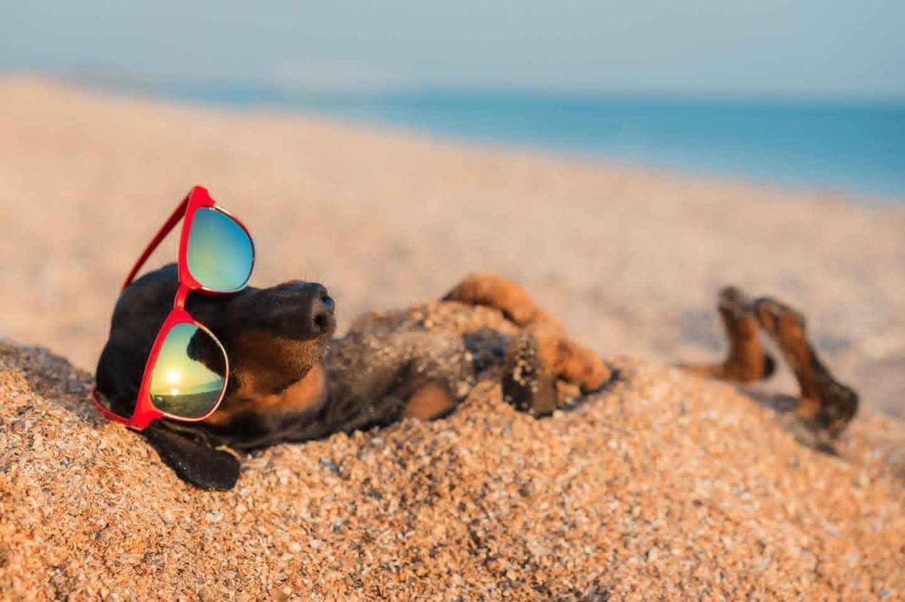 Villaggio Turistico Camping Il Fontino Scarlino Exteriér fotografie