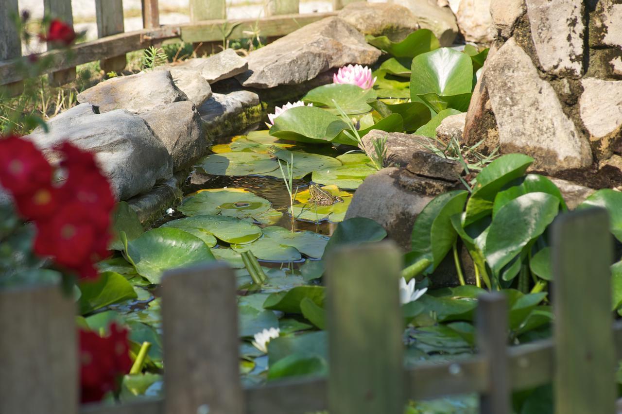 Villaggio Turistico Camping Il Fontino Scarlino Exteriér fotografie