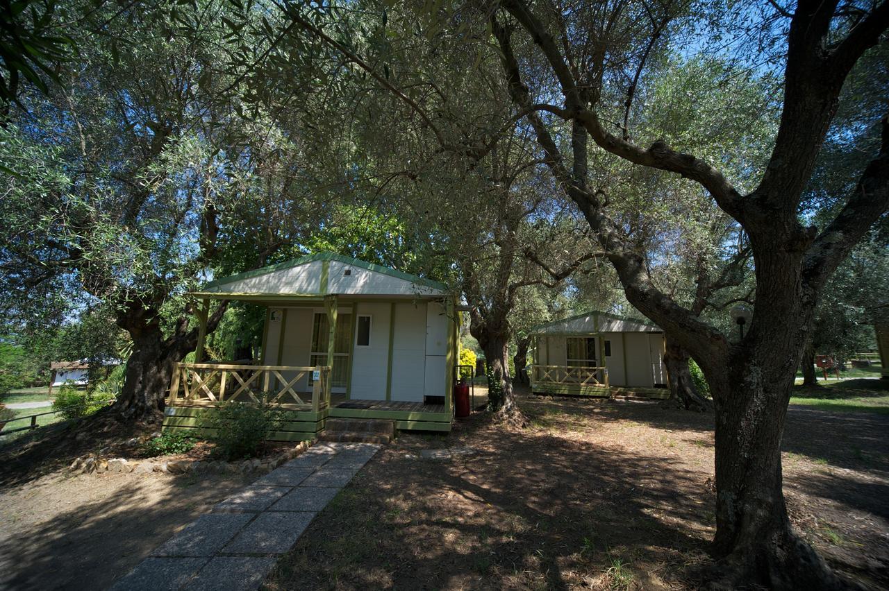 Villaggio Turistico Camping Il Fontino Scarlino Exteriér fotografie