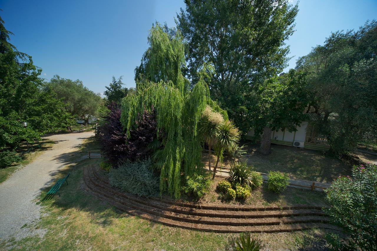 Villaggio Turistico Camping Il Fontino Scarlino Exteriér fotografie