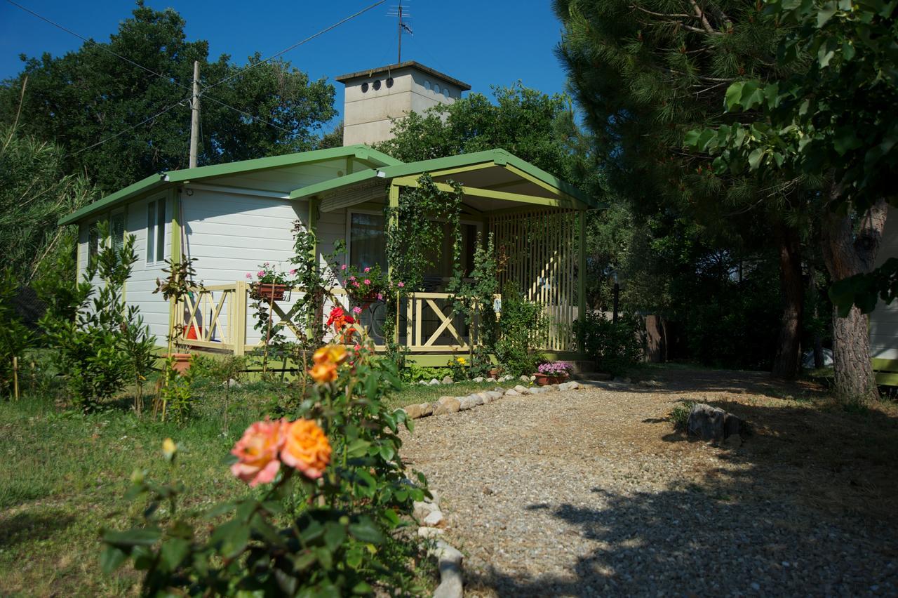 Villaggio Turistico Camping Il Fontino Scarlino Exteriér fotografie